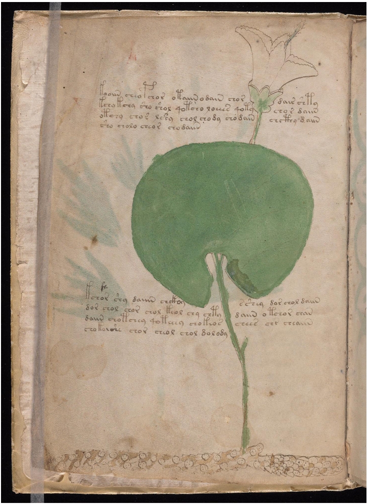 Original manuscript of Folio 2v Caper